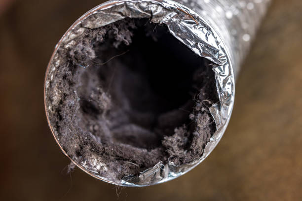 Best Air Vent Cleaning Services  in Chippewa Falls, WI